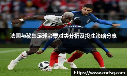 JN江南体育官网入口